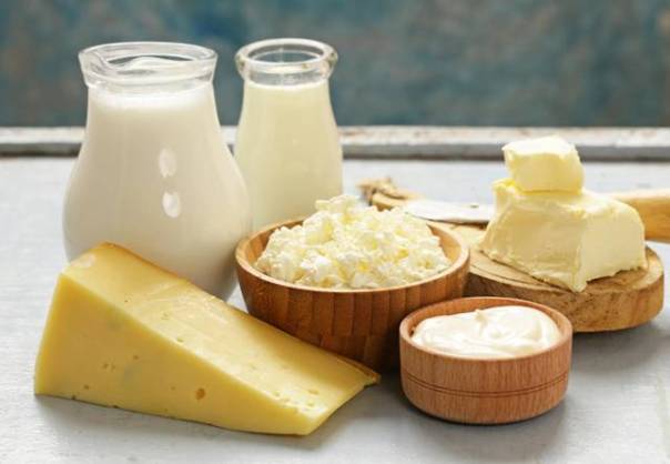produtoc lacteos leite queijo lactose